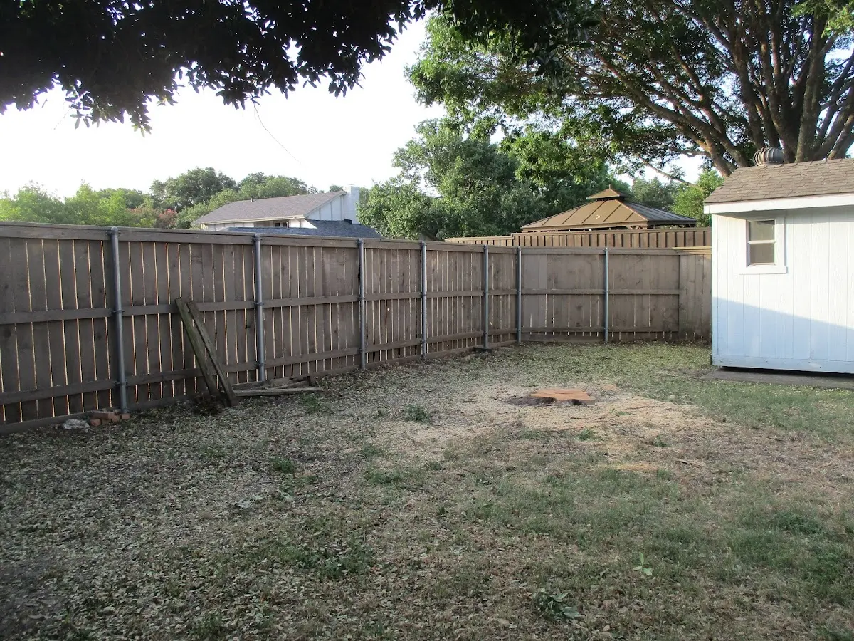 Cleared yard after professional tree removal in Green Mountain Falls